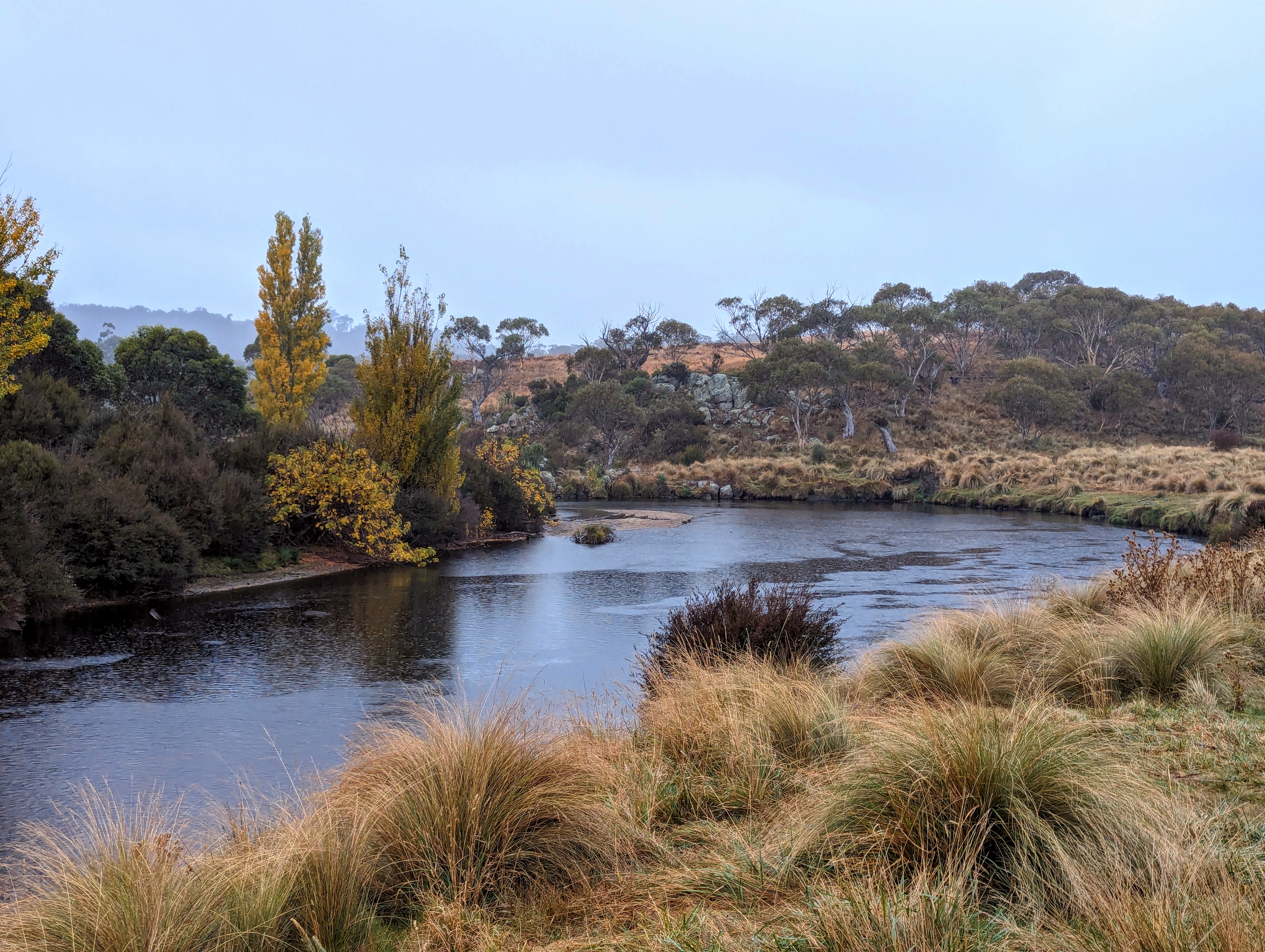 Trout hatchery improvements futureproofing iconic trout fishing tourism Main Image