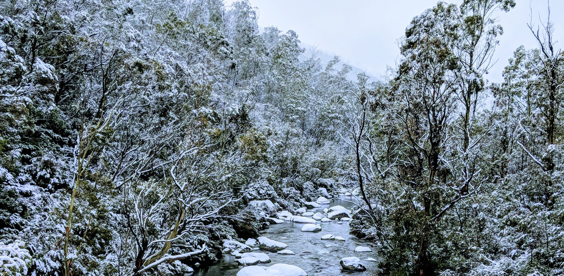 Statement on Jindabyne Southern Connector Road funding Main Image